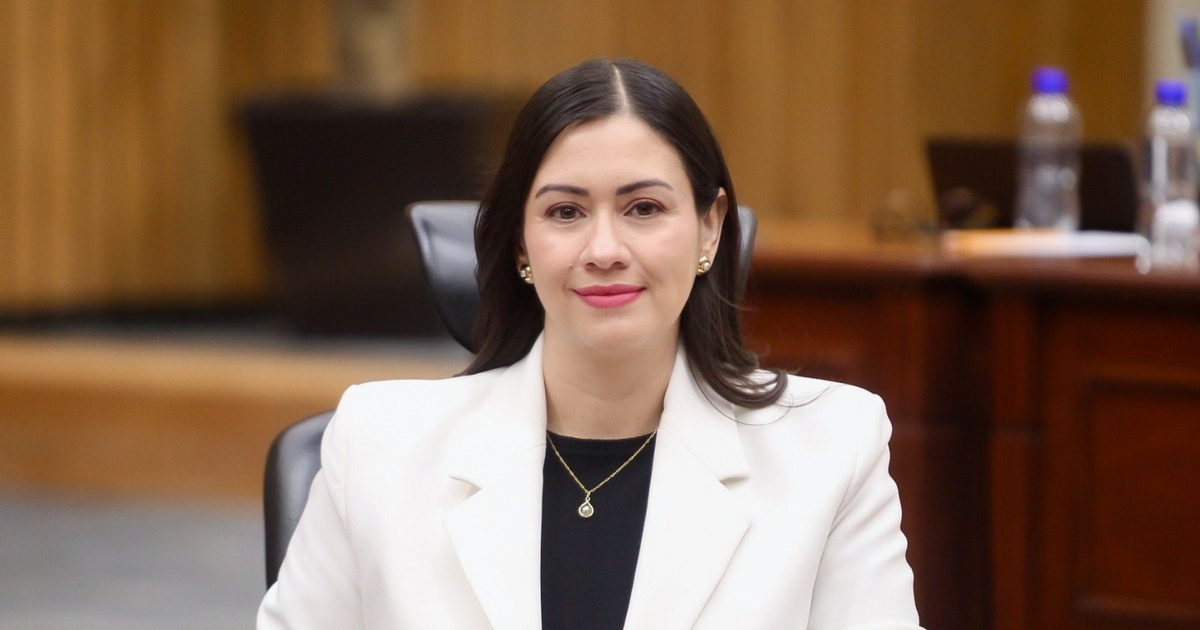 Blanca Cruz García, presidenta provisional del INE, durante una sesión del Consejo General